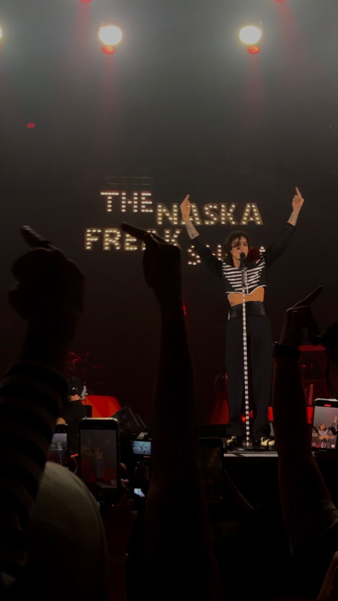 NASKA sul palco dell’Unipol Forum di Assago, 7 dicembre 2024, davanti all’insegna luminosa “The NASKA Freak Show”.